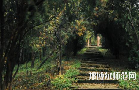 陜西國際商貿(mào)師范學(xué)院2023年招生計劃