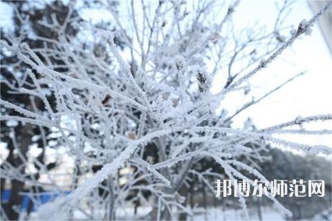長春理工師范大學2023年招生辦聯系電話