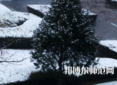 焦作師范高等專科學校2023年報名條件、招生要求、招生對象