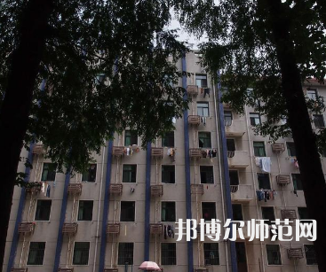 安徽大學(xué)師范學(xué)院龍河校區(qū)2023年有哪些專(zhuān)業(yè)