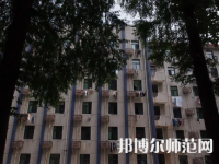 安徽大學師范學院龍河校區2023年有哪些專業