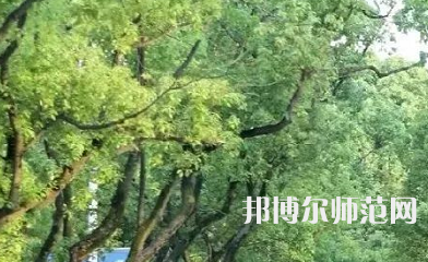 湖南理工師范學院南湖學院2023年報名條件、招生要求、招生對象