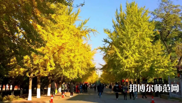 遼寧大學師范學院崇山校區2023年報名條件、招生要求、招生對象