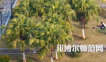 南華大學船山師范學院紅湘校區2023年招生代碼
