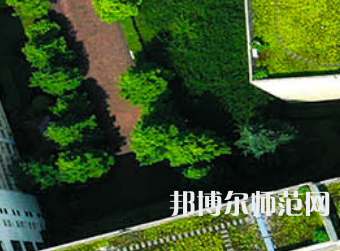 長沙學院師范學院2023年有哪些專業