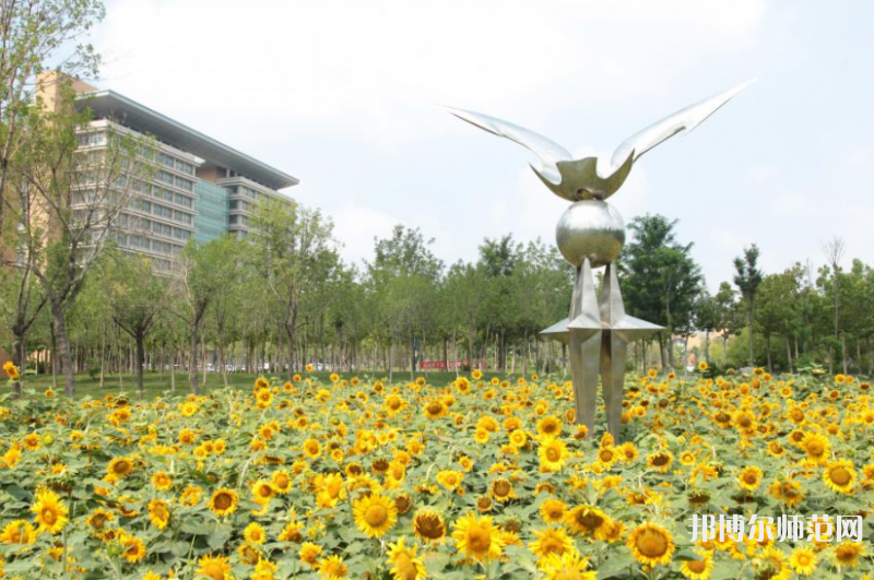 東營職業師范學院2023年招生計劃 