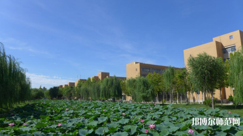 東營職業(yè)師范學(xué)院2023年報名條件、招生要求、招生對象 