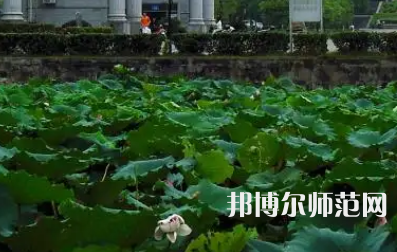 南華師范大學紅湘校區(qū)2023年報名條件、招生要求、招生對象