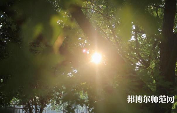 咸陽職業技術師范學院2023年報名條件、招生要求、招生對象