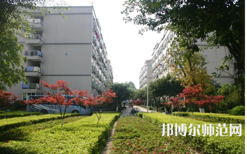 重慶師范大學涉外商貿學院合川校區2023年有哪些專業 