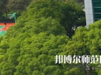 湖南涉外經濟師范學院2023年有哪些專業(yè)