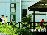 南京林業師范大學淮安校區2023年招生計劃