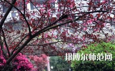 湖南第一師范學院城南書院校區2023年怎么樣、好不好