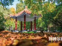 黑龍江師范大學(xué)2023年報(bào)名條件、招生要求、招生對(duì)象