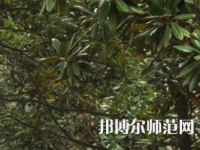 湖南師范大學樹達學院2023年學費、收費多少