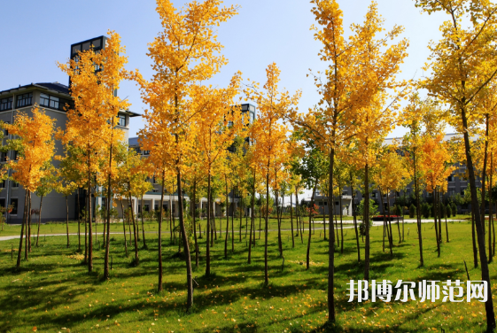 瀘州江南幼師職業(yè)中專學(xué)校2023年報名條件、招生要求、招生對象