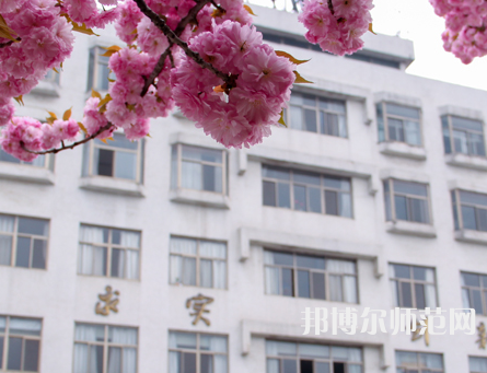 淮陰師范學(xué)院2023年報(bào)名條件、招生要求、招生對(duì)象