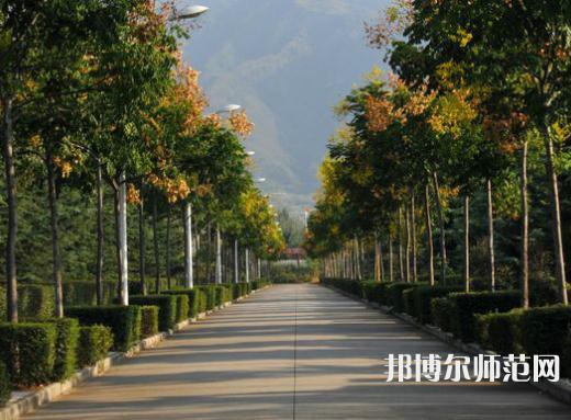 西北大學師范學院桃園校區2023年招生代碼