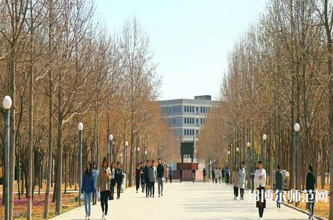 河北農業(yè)師范大學現代科技學院2023年招生代碼
