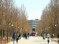 河北農業師范大學現代科技學院2023年招生代碼