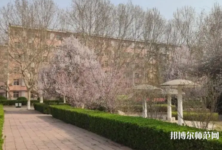 河北師范大學匯華學院2023年有哪些專業(yè)
