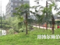 2023年瀘州天宇幼師中等職業(yè)技術(shù)學(xué)校報名條件、招生對象