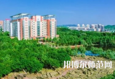 2023年長(zhǎng)江師范學(xué)院歷史學(xué)專業(yè)介紹