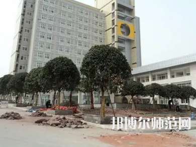 2023年內江師范學院金融與證券專業介紹