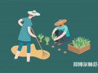 榆林學前教育學校排名榜（最新）